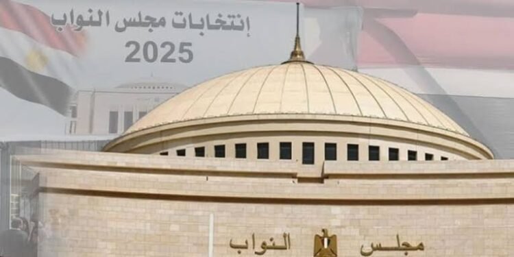 قنا في صدارة المشهد الانتخابي.. 4 دوائر و16 مرشحًا يتنافسون على 8 مقاعد