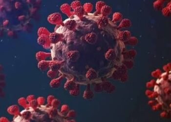 رئيس اللجنة العلمية لمكافحة كورونا يحسم الجدل بشأن انتشار الفيروس الجديد