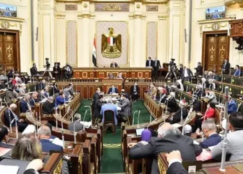 بعد تظلمها على نتيجة الحصر العددي.. فوز إيمان خضر بعضوية مجلس النواب بدائرة الزقازيق