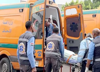 مصرع ربة منزل بطلق ناري خرج بالخطأ من سلاح بيد طفلها في المنوفية