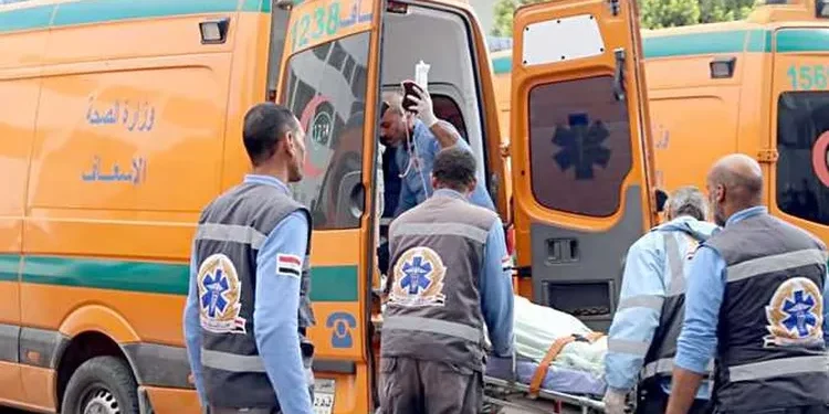 مصرع ربة منزل بطلق ناري خرج بالخطأ من سلاح بيد طفلها في المنوفية