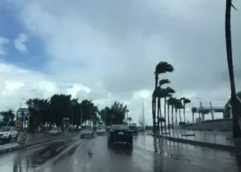 الأرصاد: طقس شديد البرودة وصقيع وشبورة كثيفة اليوم الأربعاء 14 يناير 2026