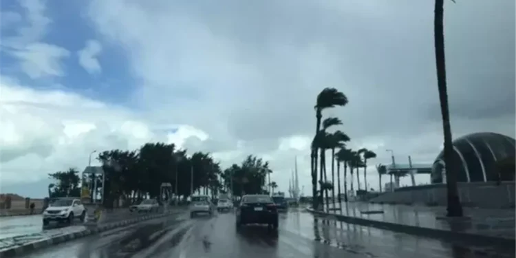 الأرصاد: شبورة كثيفة وصقيع صباح اليوم الجمعة وطقس شديد البرودة