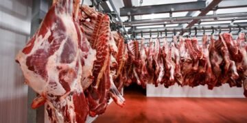 أسعار اللحوم اليوم الجمعة 9 يناير 2026 في محلات الجزارة والمنافذ