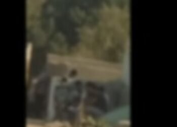 بحوزتهم مخدرات و11 فرد خرطوش.. القبض على 31 شخصا بتهمة التعاطي بإحدى المقابر بحلوان