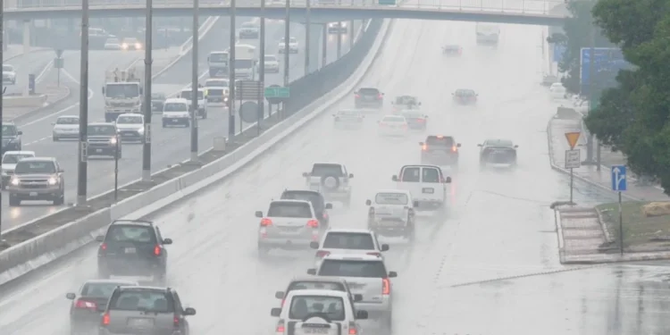 طقس السبت 24 يناير 2026.. برودة شديدة صباحًا وليلاً