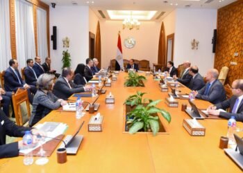 وزير الخارجية: تعزيز التواجد المصري في إفريقيا لتحقيق المصالح المشتركة