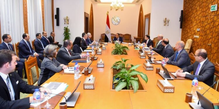 وزير الخارجية: تعزيز التواجد المصري في إفريقيا لتحقيق المصالح المشتركة