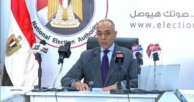 القاضي أحمد بنداري: إعلان اللجان العامة بمثابة حصر عددي للأصوات والنتيجة الرسمية 10 يناير