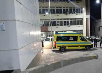 مصرع شابين في تصادم مروع بين نصف نقل وتريلا على الطريق الإقليمي بالمنوفية