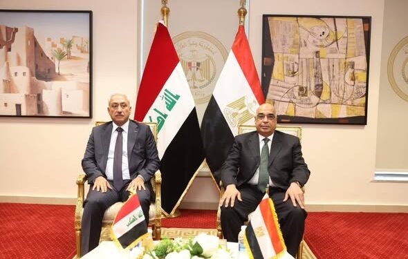 وزير العدل يستقبل وفدًا عراقيًا لمناقشة التعاون في التفتيش القضائي