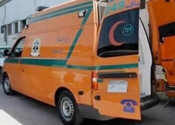 انقلاب شاحنة حاصلات زراعية بطريق شرق العوينات بالوادي الجديد