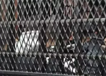 تأجيل محاكمة 207 متهمين بخلية داعش العمرانية لجلسة 12 أبريل