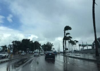 طقس السبت 3 يناير 2026.. شديد البرودة صباحًا وليلاً وشبورة كثيفة