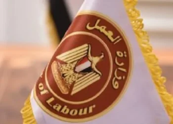 وزارة العمل تعلن عن 20 فرصة عمل جديدة للعمالة المصرية في الأردن
