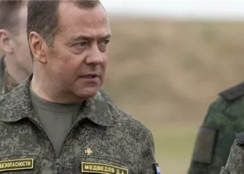 نائب رئيس مجلس الأمن الروسي يلمح لاحتمالية اختطاف المستشار الألماني