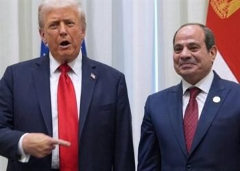 ترامب لـ السيسي: آمل ألا يؤدي الخلاف بشأن سد النهضة الإثيوبي الكبير إلى نزاع عسكري كبير