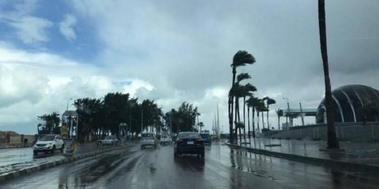 الأرصاد: طقس شديد البرودة صباحًا وارتفاع طفيف نهارًا اليوم الأربعاء