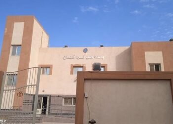 تماثل 22 شخصًا للشفاء إثر إصابتهم باضطرابات معوية في قرية أدندان بأسوان