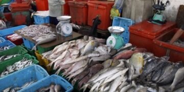 أسعار الأسماك اليوم الجمعة 9 يناير 2026 في سوق العبور