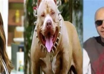 رفض استئناف زوج أميرة شنب على تغريمه 3 ملايين جنيه لصالح أسرة محمد الماوي في واقعة عقر الكلب