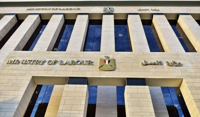وزارة العمل: توفير نحو مليون فرصة عمل للشباب خلال 2025