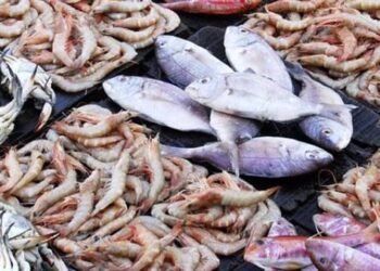 أسعار الأسماك اليوم الأحد 4 يناير 2026 في سوق العبور