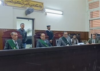 السجن 15 عامًا لـ مبلط سيراميك تعدى على صغير في المنيا