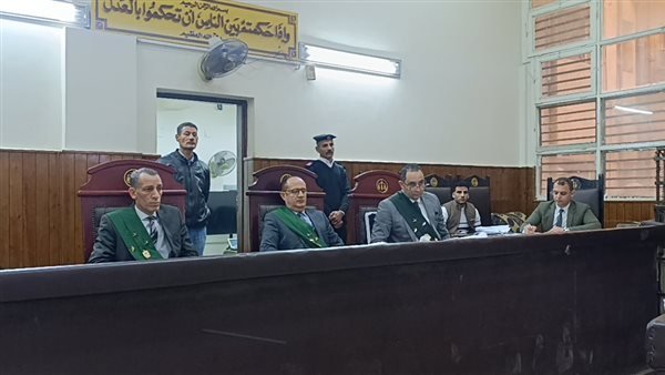 السجن 15 عامًا لـ مبلط سيراميك تعدى على صغير في المنيا