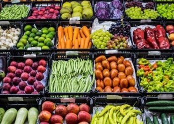 أسعار الخضراوات والفاكهة اليوم السبت 3 يناير 2026 في الأسواق