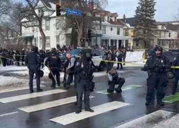 مقتل سيدة بطلق ناري من ضابط إدارة الهجرة والجمارك يشعل التظاهرات في مينيابوليس الأمريكية