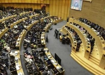 مصر تتولى رئاسة مجلس السلم والأمن التابع للاتحاد الإفريقي