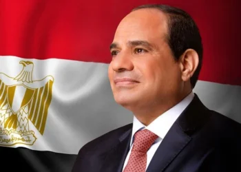 السيسي: الوظائف الحكومية يجب أن تُمنح على أساس الكفاءة والجدارة فقط