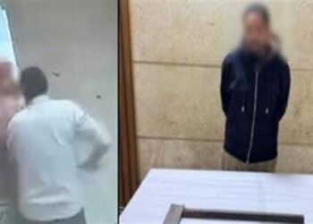صفعها وضربها بالبلطة.. حبس المتهم بالتعدي على والدته في الغربية 4 أيام