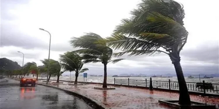 الأرصاد تكشف حالة الطقس ودرجات الحرارة اليوم الأحد 4 يناير 2026