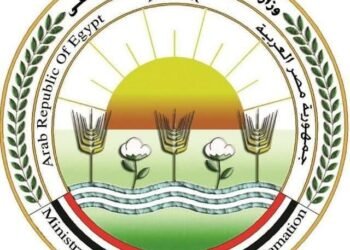 وزارة الزراعة: تكثيف حملات التفتيش وضخ المنتجات في منافذها بأسعار مخفضة