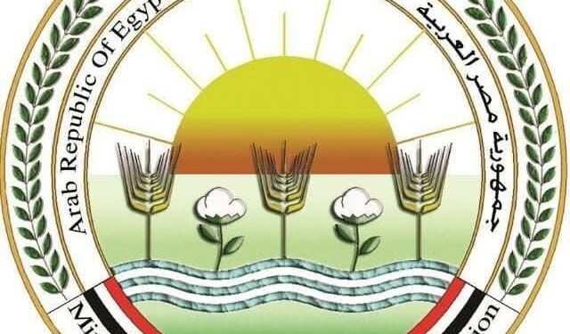 وزارة الزراعة: تكثيف حملات التفتيش وضخ المنتجات في منافذها بأسعار مخفضة