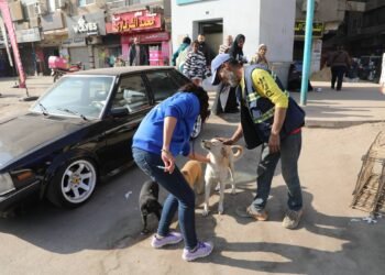 “الزراعة” تبدأ المرحلة الميدانية لتعقيم وتحصين الكلاب الحرة بمنطقة عين شمس