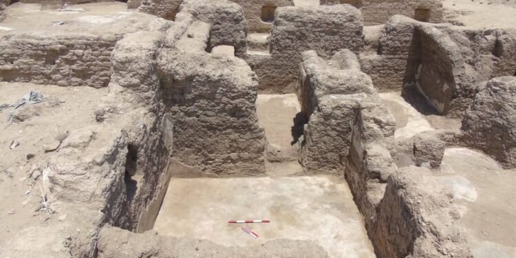 الكشف عن بقايا مجمع سكني متكامل للرهبان من العصر البيزنطي بسوهاج