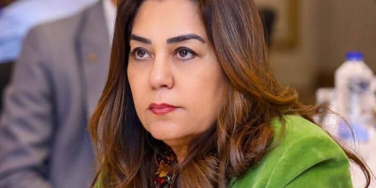 وزيرة التنمية المحلية تعلن التشغيل التجريبى لـ4 مجازر بالمنوفية والدقهلية وكفر الشيخ بتكلفة 129 مليون جنيه