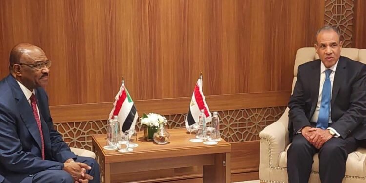 وزير الخارجية: نعمل على وقف إطلاق النار في السودان وتسهيل وصول المساعدات