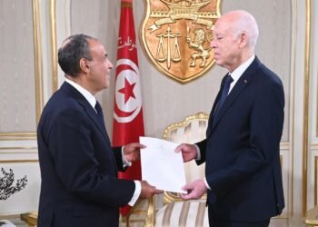 وزير الخارجية: استمرار تدفق المساعدات لغزة أولوية إنسانية لا تحتمل التأجيل