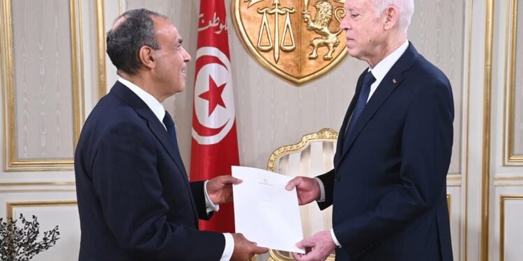 وزير الخارجية: استمرار تدفق المساعدات لغزة أولوية إنسانية لا تحتمل التأجيل