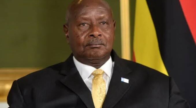 الرئيس الأوغندي يوري موسيفيني يفوز بفترة رئاسية سابعة