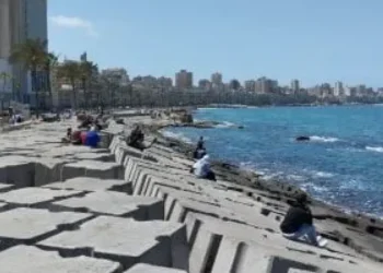 طقس السبت.. برد صباحي وشبورة على شمال البلاد وارتفاع تدريجي في الحرارة نهارًا