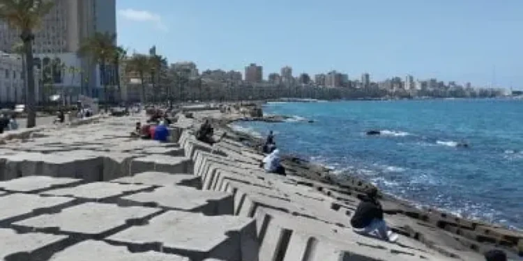 طقس السبت.. برد صباحي وشبورة على شمال البلاد وارتفاع تدريجي في الحرارة نهارًا