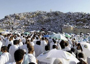 التضامن تفتح سداد الدفعة الثانية لحج الجمعيات 2026