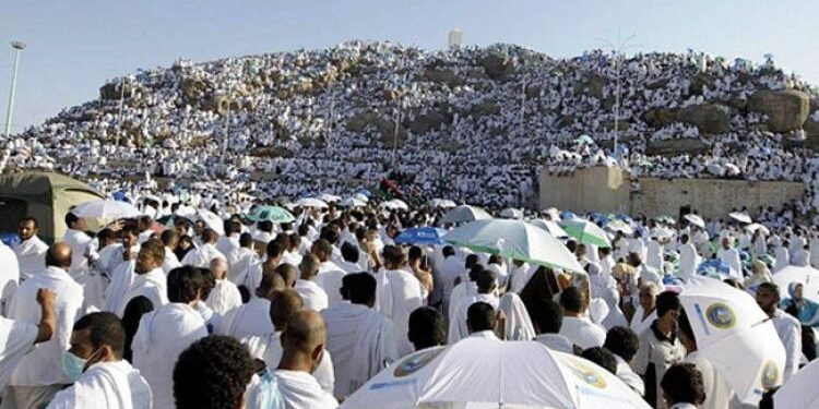 التضامن تفتح سداد الدفعة الثانية لحج الجمعيات 2026