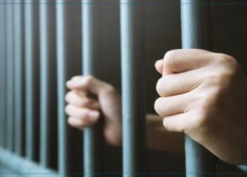 خنقها بـ"وسادة" وألقاها في حقيبة.. اعترافات صادمة لقاتل فتاة ذوي الهمم بالإسكندرية