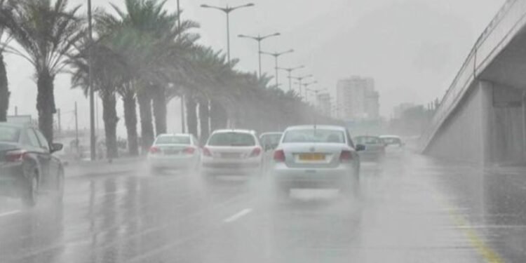 شبورة كثيفة ورياح مثيرة للرمال.. الأرصاد تكشف تفاصيل طقس الأربعاء 4 فبراير 2026